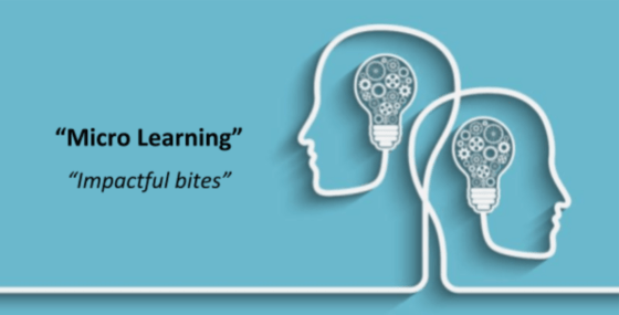 Micro-Learning-Training-&-Development-Protouch