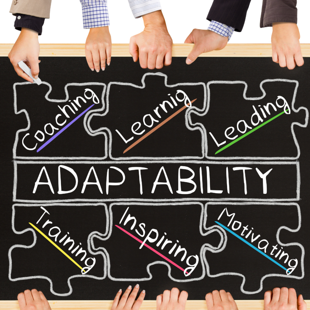 Adaptability in Workplace