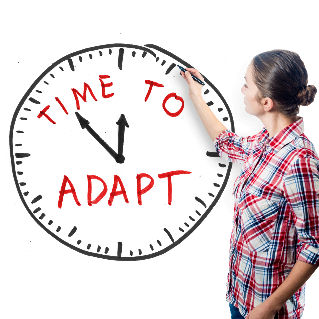 Adaptability In Workplace - Soft Skill Training Is A Way Forward