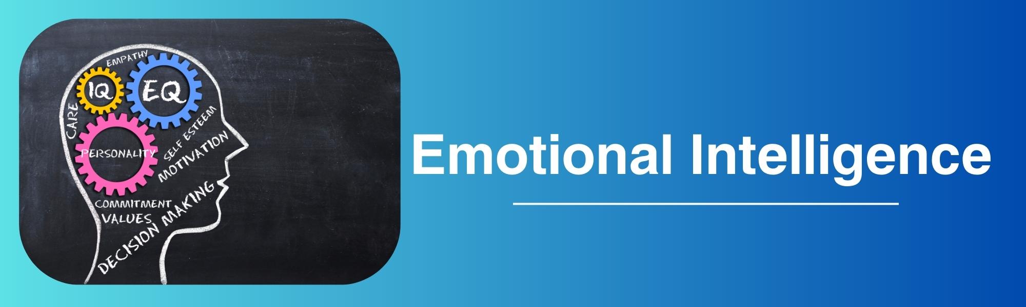 Emotional Intelligence – Assessing and Training One’s Self