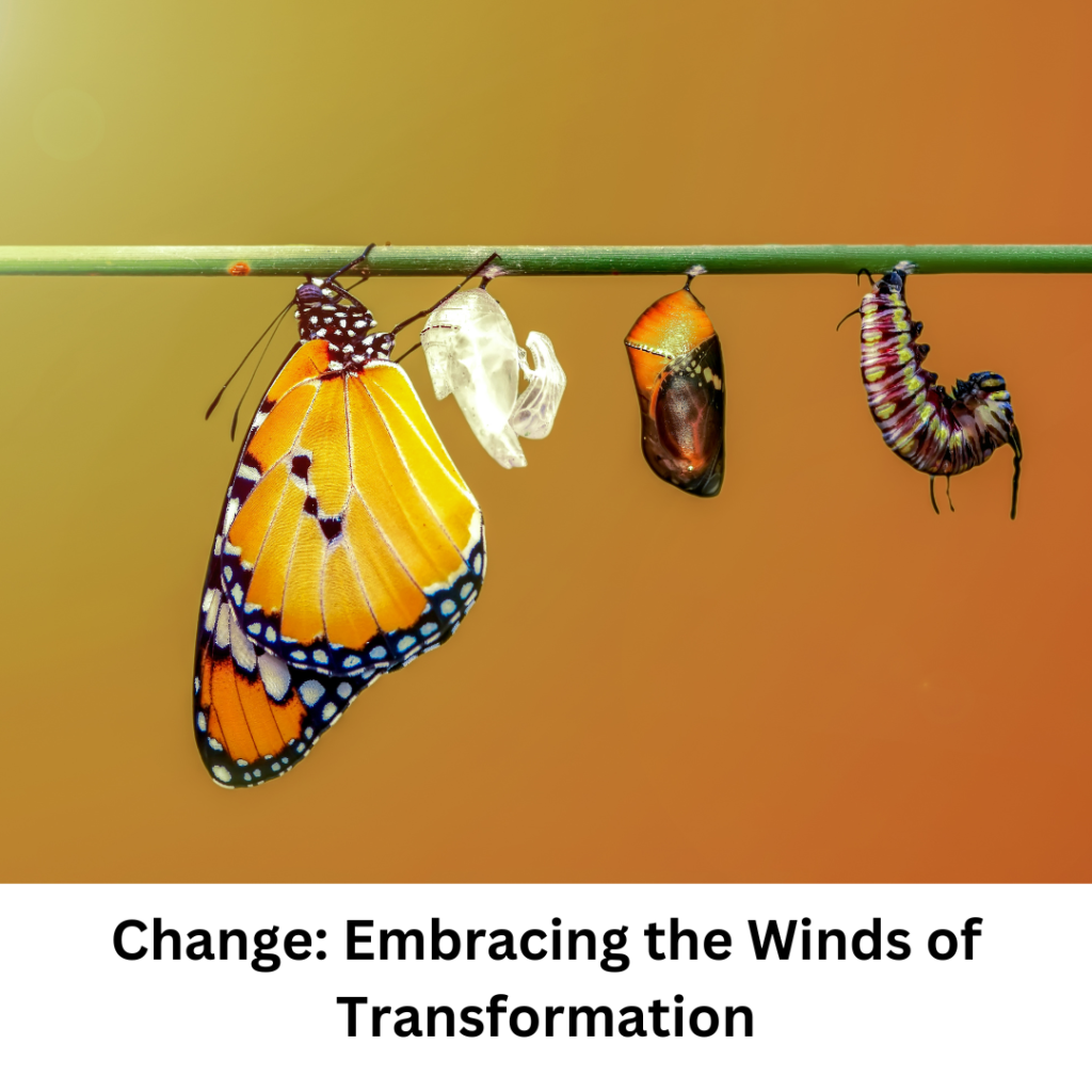 Embracing the wind of transformation