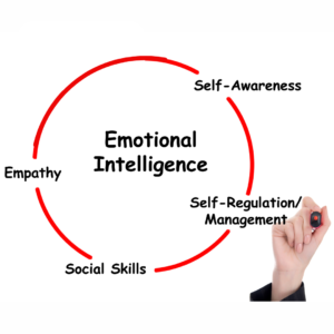aspects of emotional intelligence