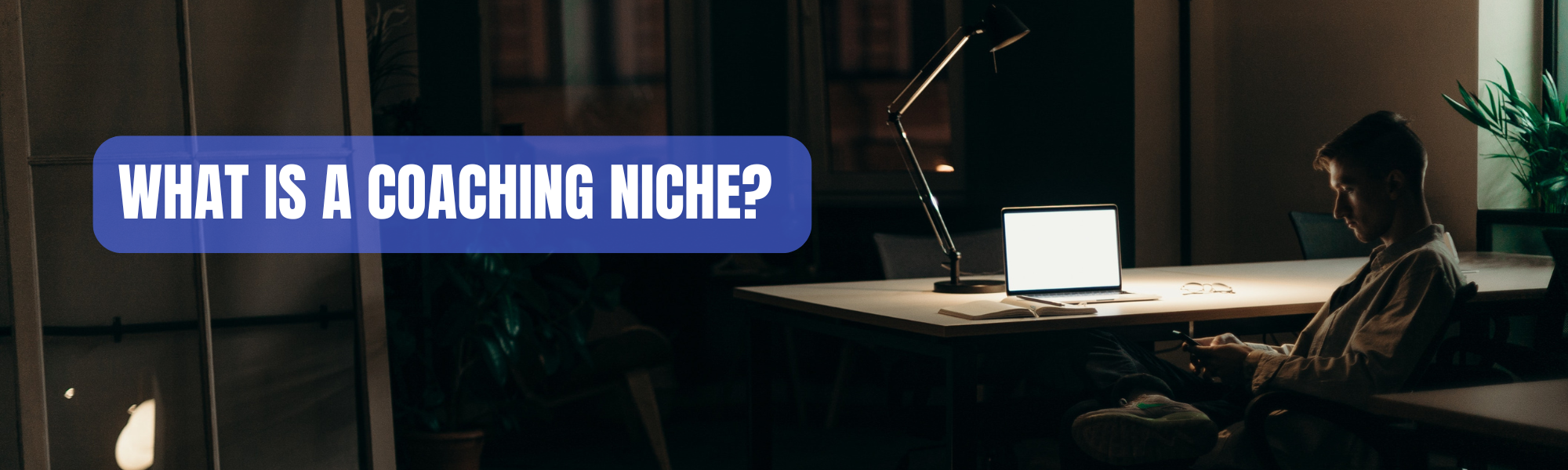 What is a Coaching Niche?