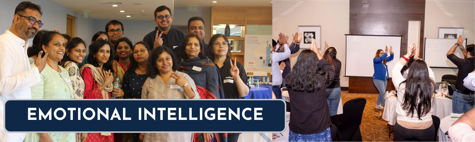 Emotional Intelligence Training & Coaching