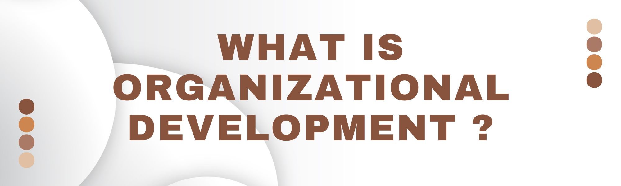 What is Organizational Development
