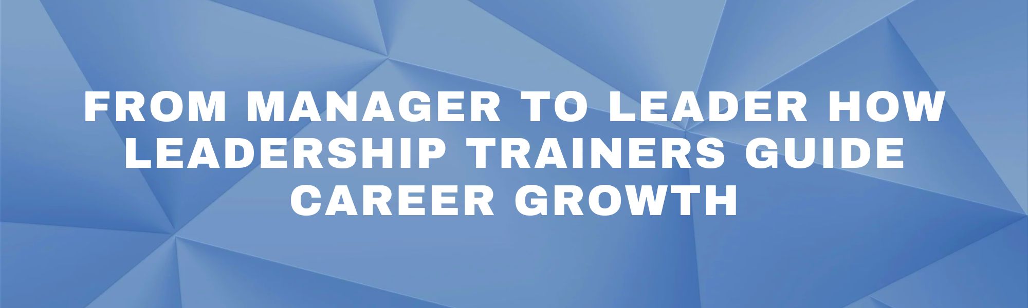From Manager to Leader – How Leadership Trainers guide Career Growth
