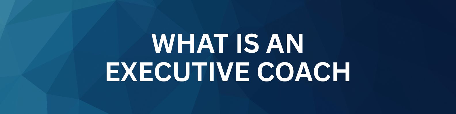 What is an Executive Coach ?