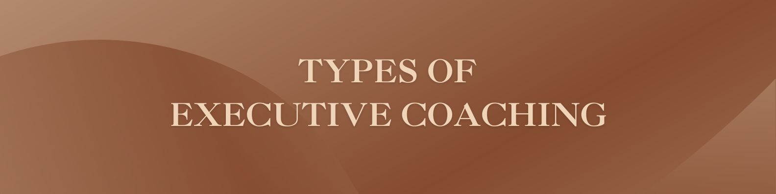 Types of Executive Coaching