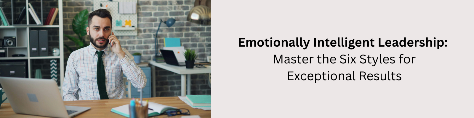 The Emotionally Intelligent Leader: Mastering the Six Styles for Unparalleled Results