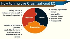 Organizational EQ